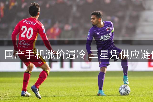 国产手机涨价遇冷 三星凭供应链优势逆势扩张