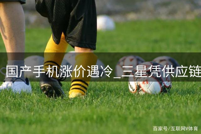 国产手机涨价遇冷 三星凭供应链优势逆势扩张